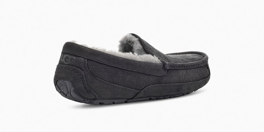 Ascot Matte Leather Sneakers - Premium Brand Shoes for Men and Women