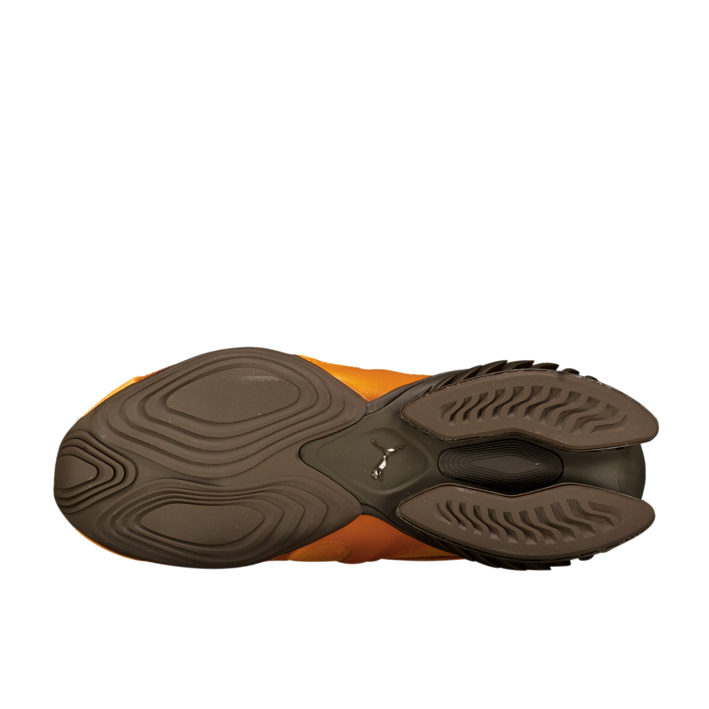 Cell Geo 1 'Papaya'