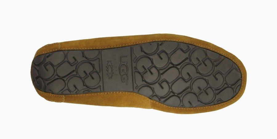Olsen Sneakers - Premium Brand Shoes for Men and Women