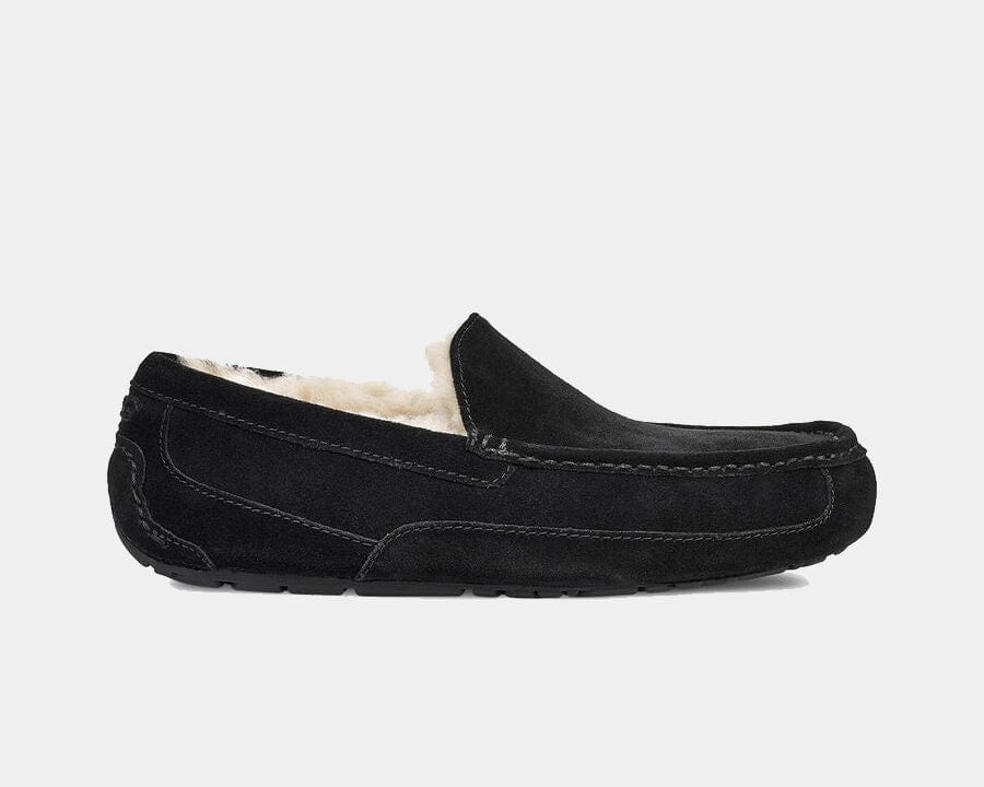 Ascot Suede Sneakers - Premium Brand Shoes for Men and Women