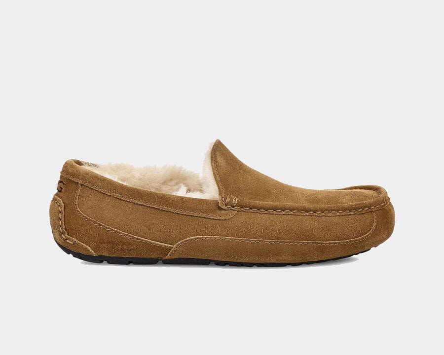 Ascot Suede Sneakers - Premium Brand Shoes for Men and Women