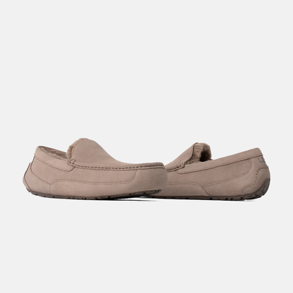 Ascot Suede Sneakers - Premium Brand Shoes for Men and Women