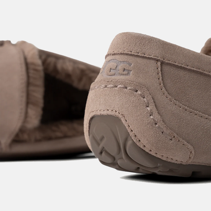 Ascot Suede Sneakers - Premium Brand Shoes for Men and Women