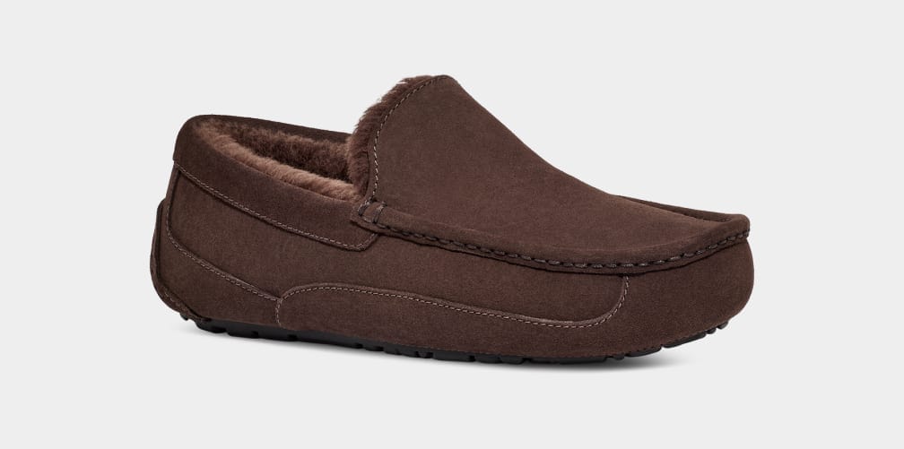 Ascot Suede Sneakers - Premium Brand Shoes for Men and Women