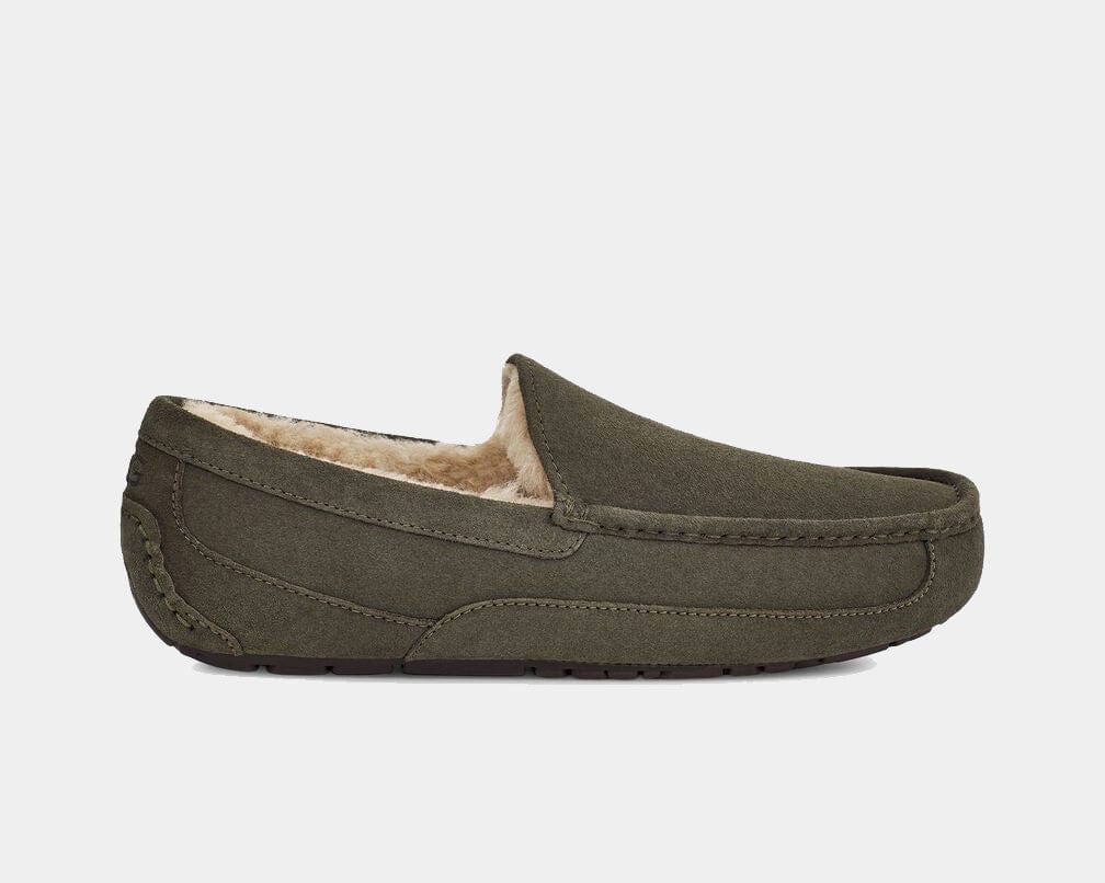 Ascot Suede Sneakers - Premium Brand Shoes for Men and Women