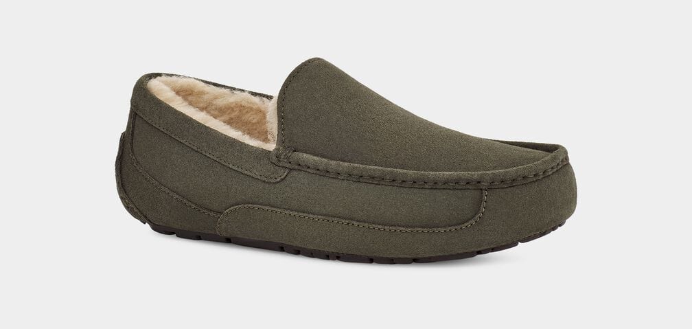 Ascot Suede Sneakers - Premium Brand Shoes for Men and Women