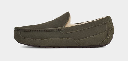 Ascot Suede Sneakers - Premium Brand Shoes for Men and Women