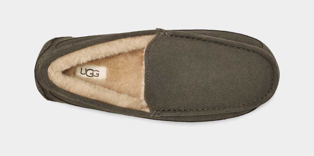 Ascot Suede Sneakers - Premium Brand Shoes for Men and Women