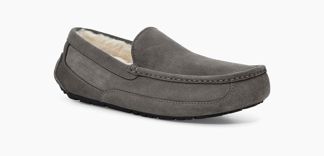 Ascot Suede Sneakers - Premium Brand Shoes for Men and Women