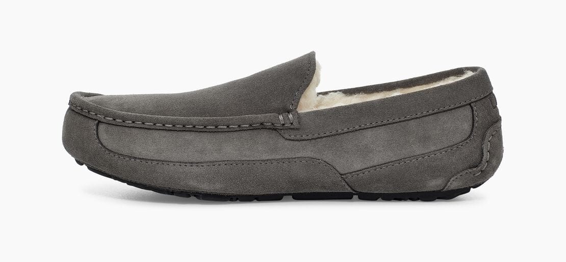 Ascot Suede Sneakers - Premium Brand Shoes for Men and Women