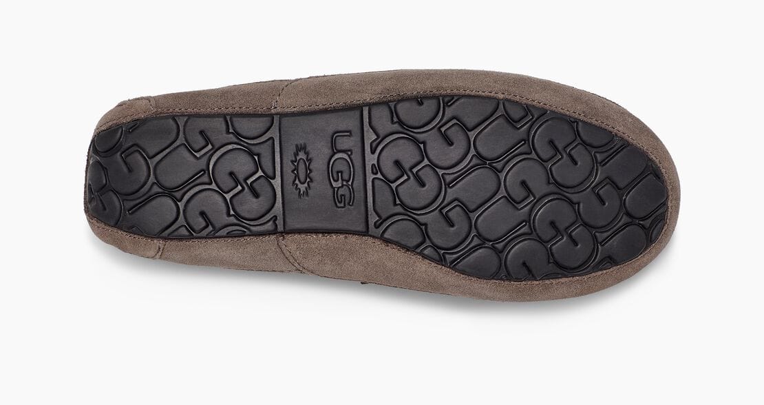 Ascot Suede Sneakers - Premium Brand Shoes for Men and Women