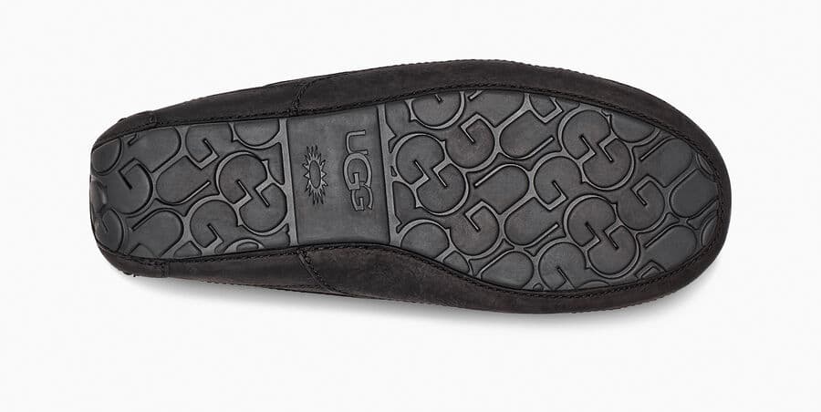 Ascot Matte Leather Sneakers - Premium Brand Shoes for Men and Women