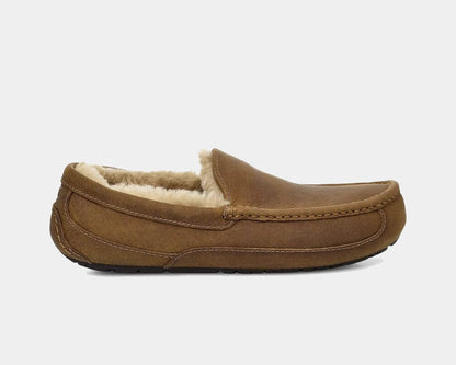 Ascot Matte Leather Sneakers - Premium Brand Shoes for Men and Women