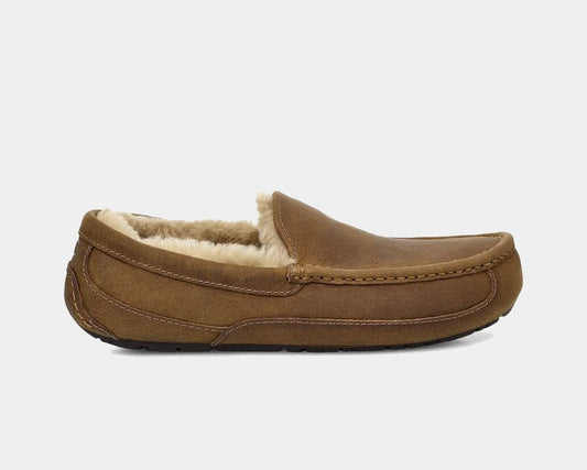 Ascot Matte Leather Sneakers - Premium Brand Shoes for Men and Women