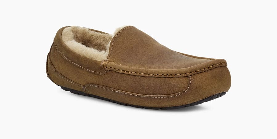 Ascot Matte Leather Sneakers - Premium Brand Shoes for Men and Women