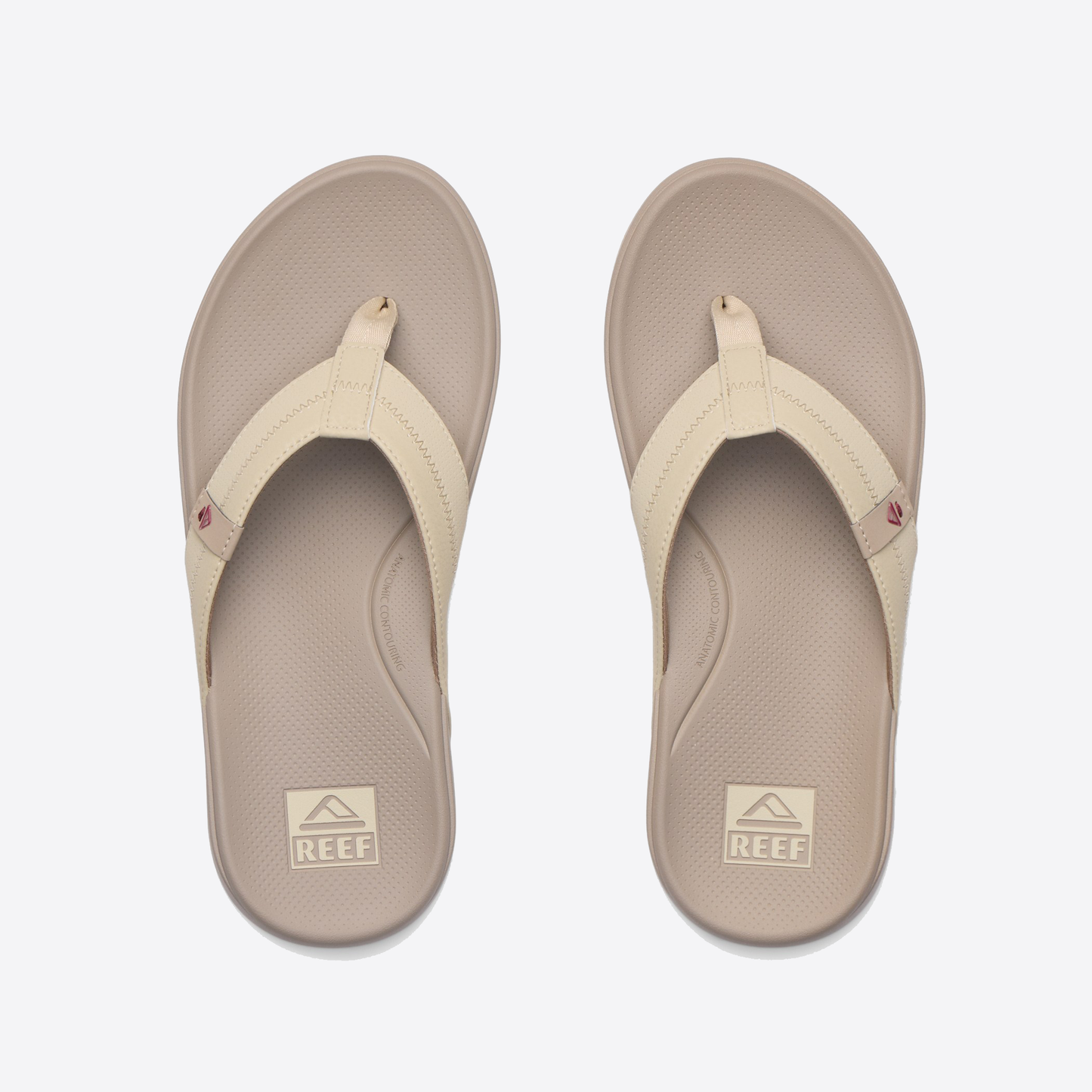 Cushion Phantom 2.0 Sneakers - Premium Brand Shoes for Men and Women
