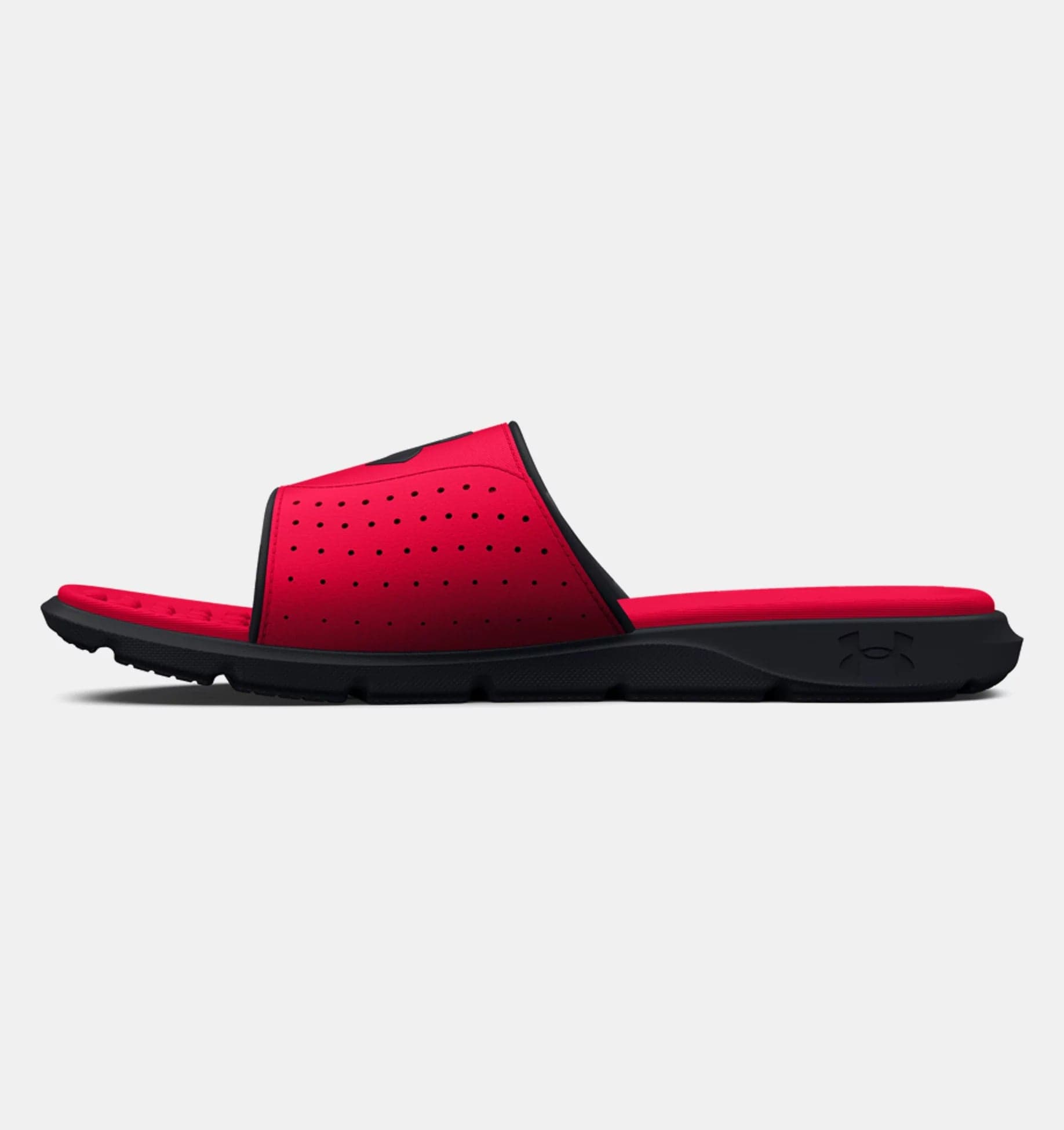 Ignite Pro SL Sneakers - Premium Brand Shoes for Men and Women