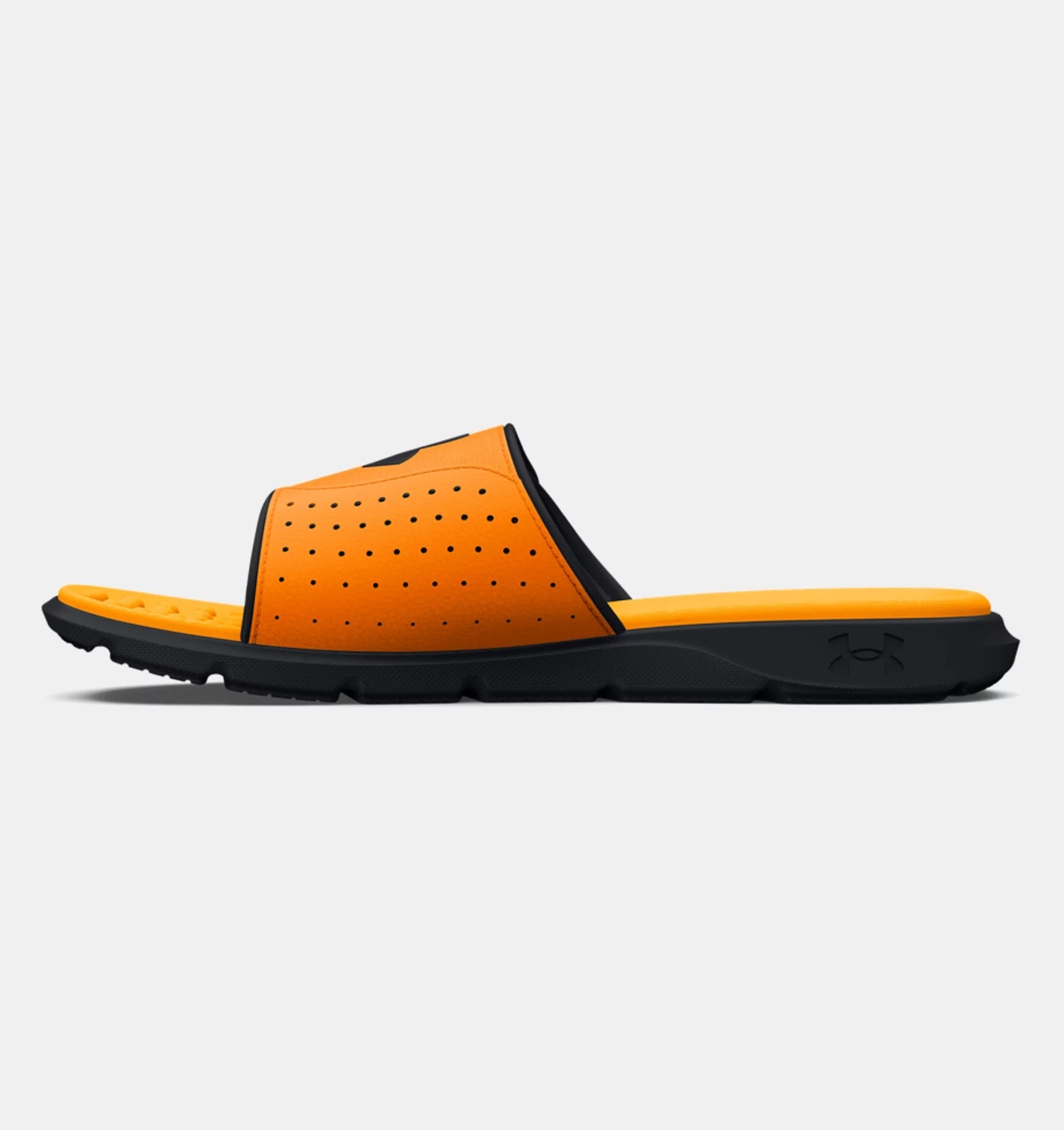 Ignite Pro SL Sneakers - Premium Brand Shoes for Men and Women