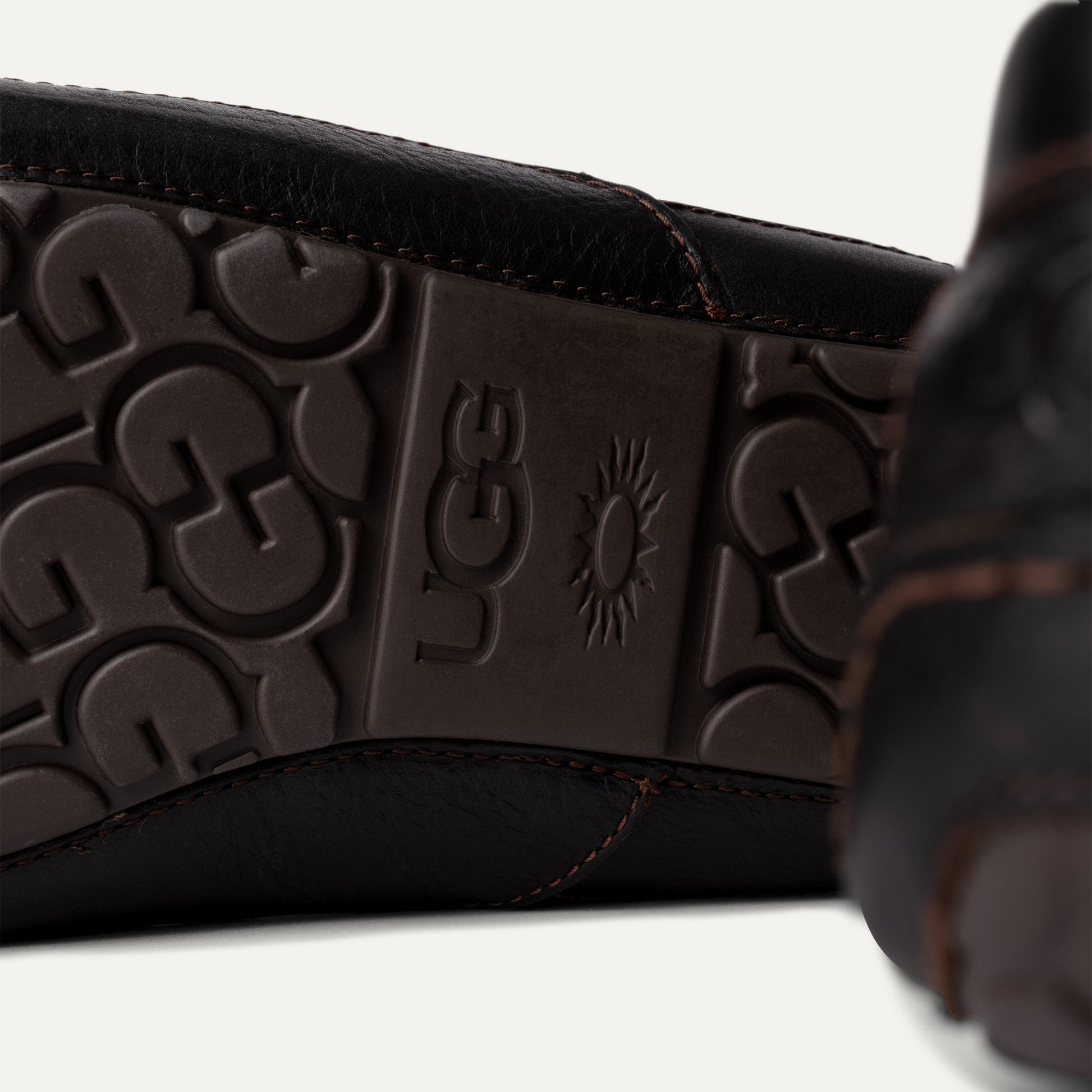 Ascot Leather Sneakers - Premium Brand Shoes for Men and Women