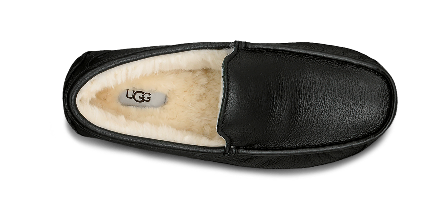 Ascot Leather Sneakers - Premium Brand Shoes for Men and Women