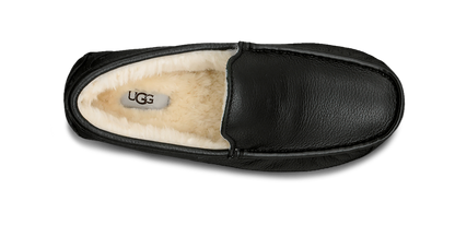 Ascot Leather Sneakers - Premium Brand Shoes for Men and Women