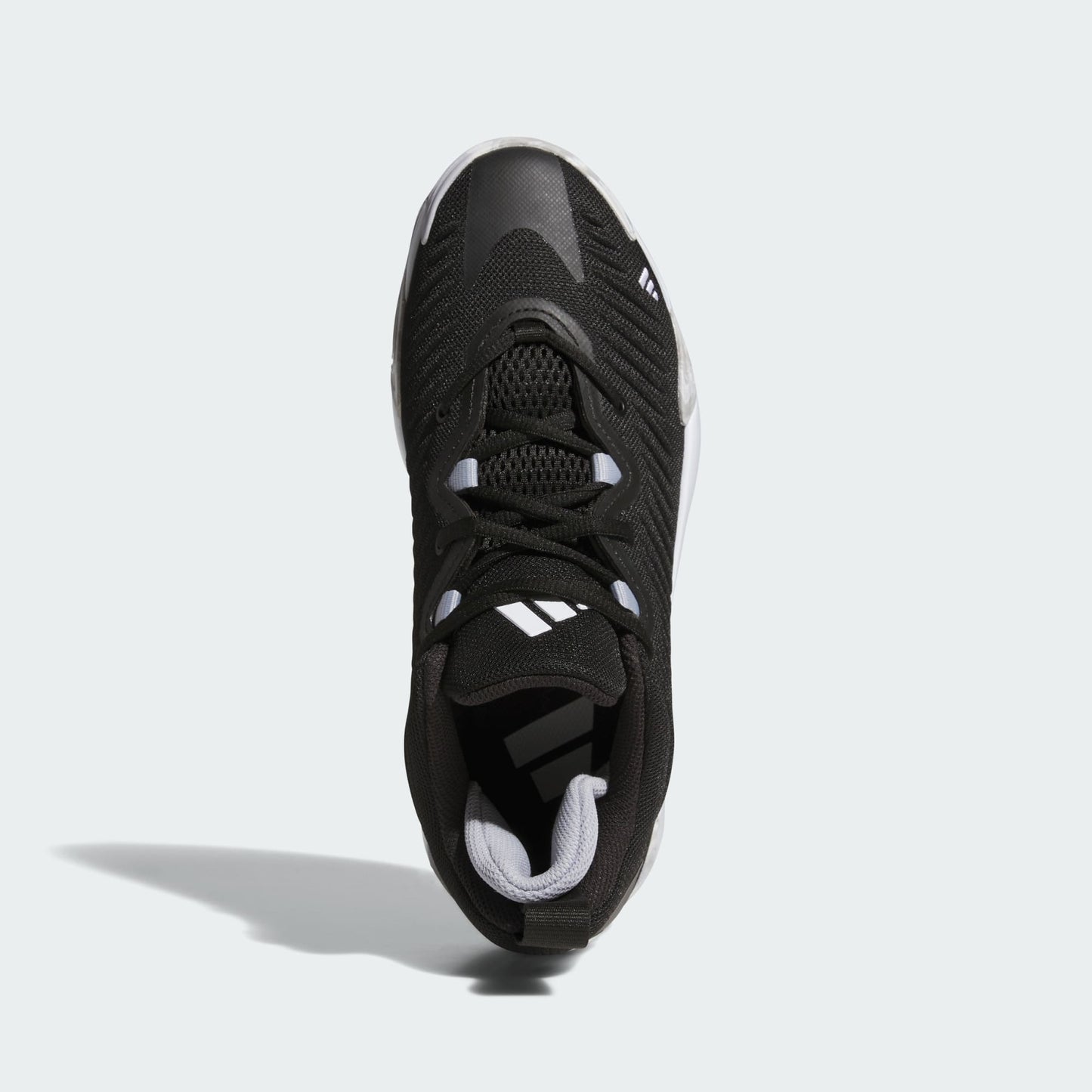 Initiation Sneakers - Premium Brand Shoes for Men and Women