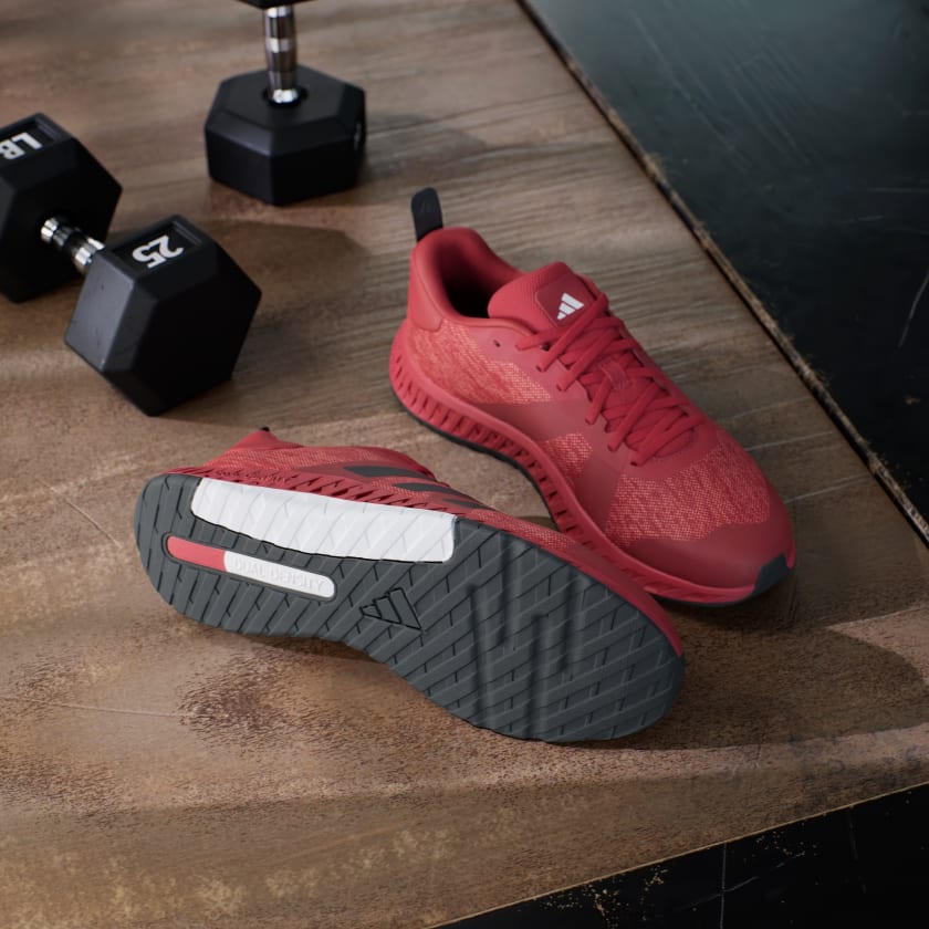 Everyset Trainer Sneakers - Premium Brand Shoes for Men and Women