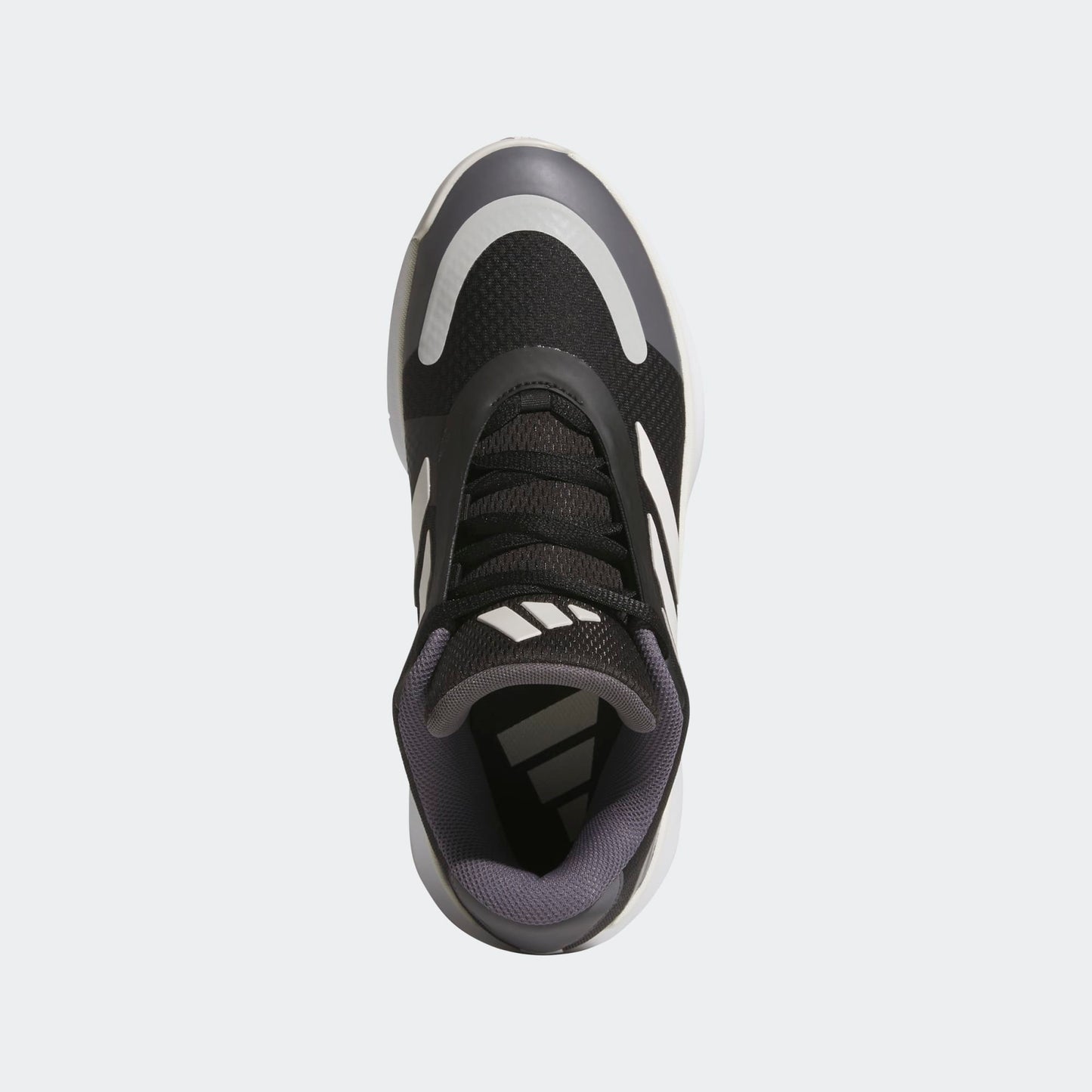 Basketball Legends Low Sneakers - Premium Brand Shoes for Men and Women