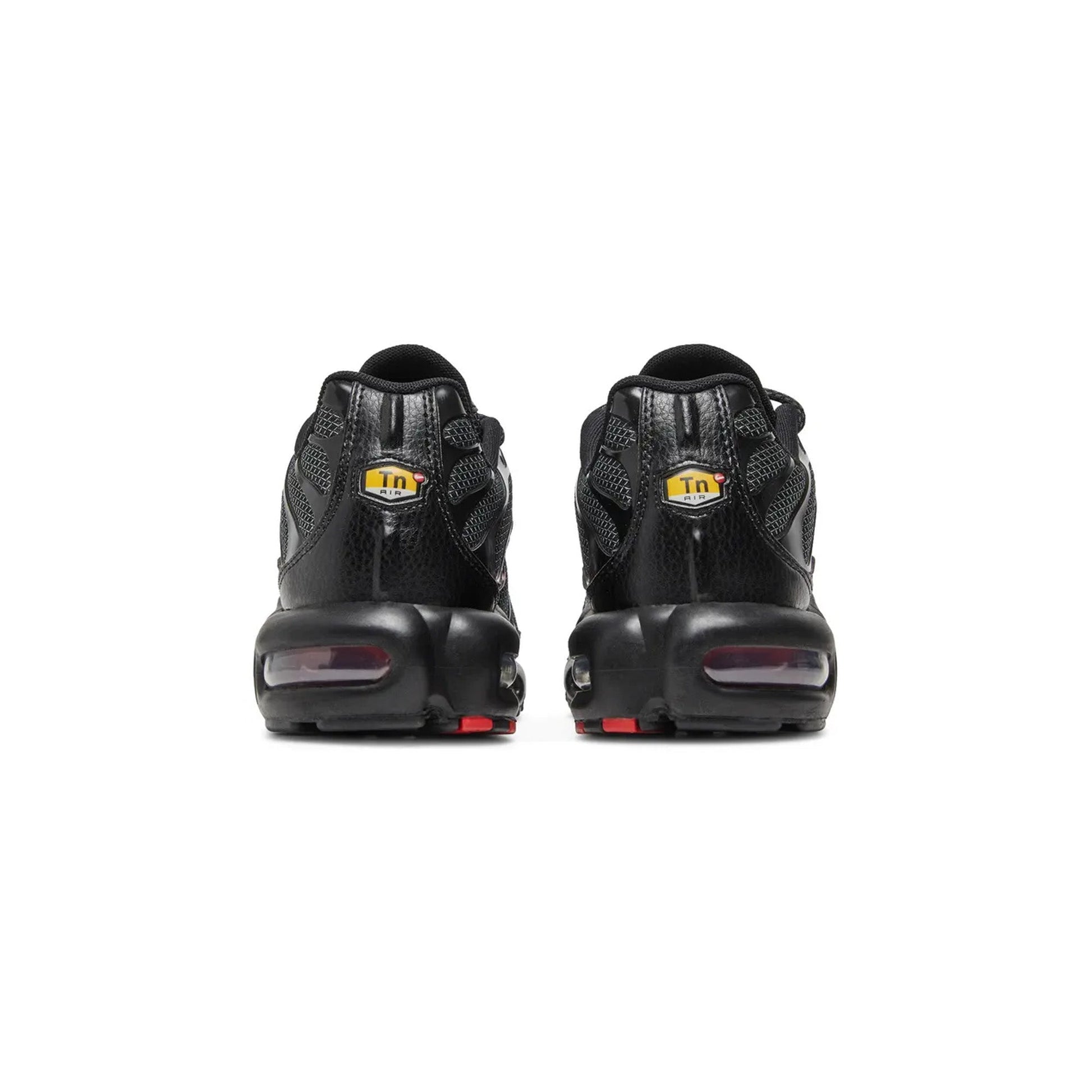 Nike Air Max TN Plus 'Metal Mesh Black Red' (2021)