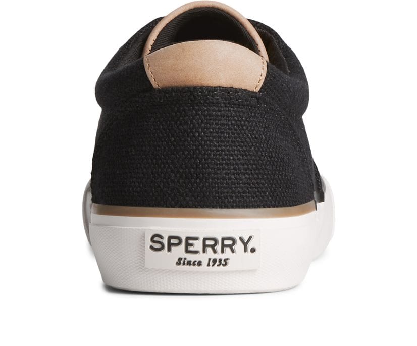 Seacycled Striper II CVO Baja Sneakers - Premium Brand Shoes for Men and Women