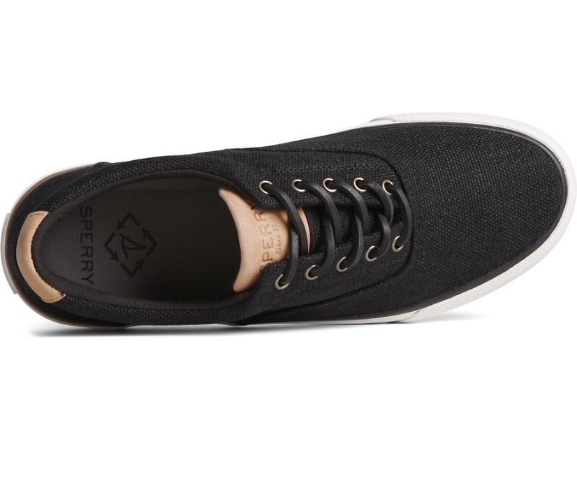 Seacycled Striper II CVO Baja Sneakers - Premium Brand Shoes for Men and Women