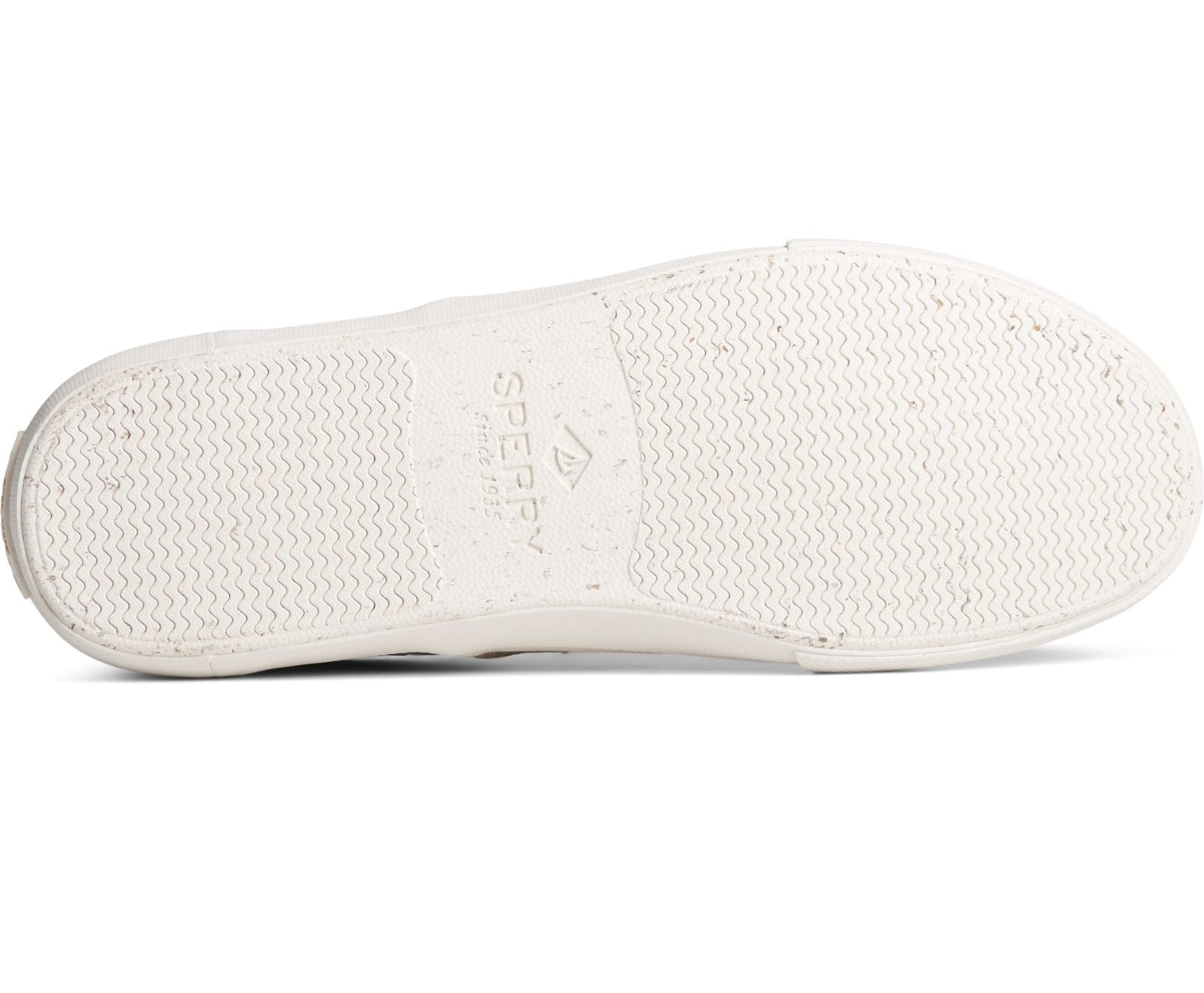 Seacycled Striper II CVO Baja Sneakers - Premium Brand Shoes for Men and Women