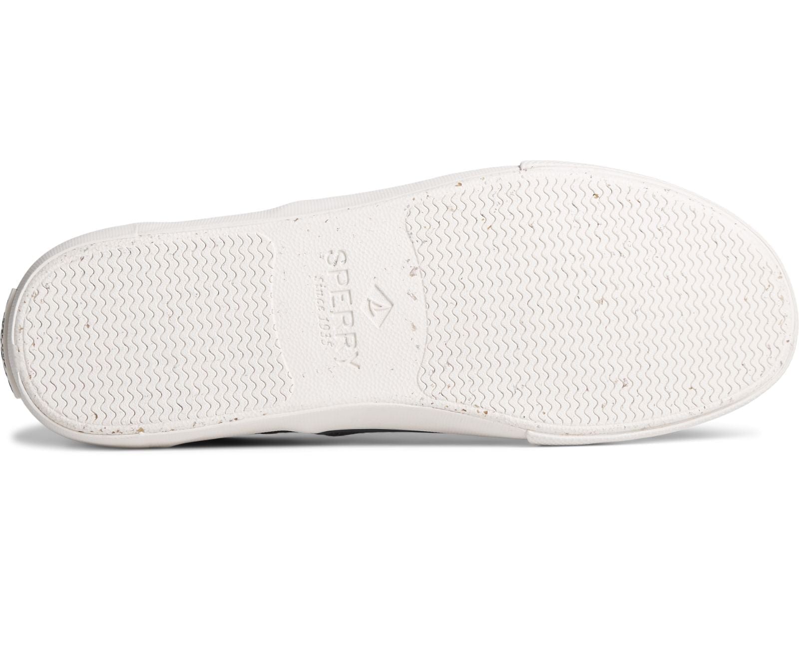 Seacycled Striper II CVO Baja Sneakers - Premium Brand Shoes for Men and Women