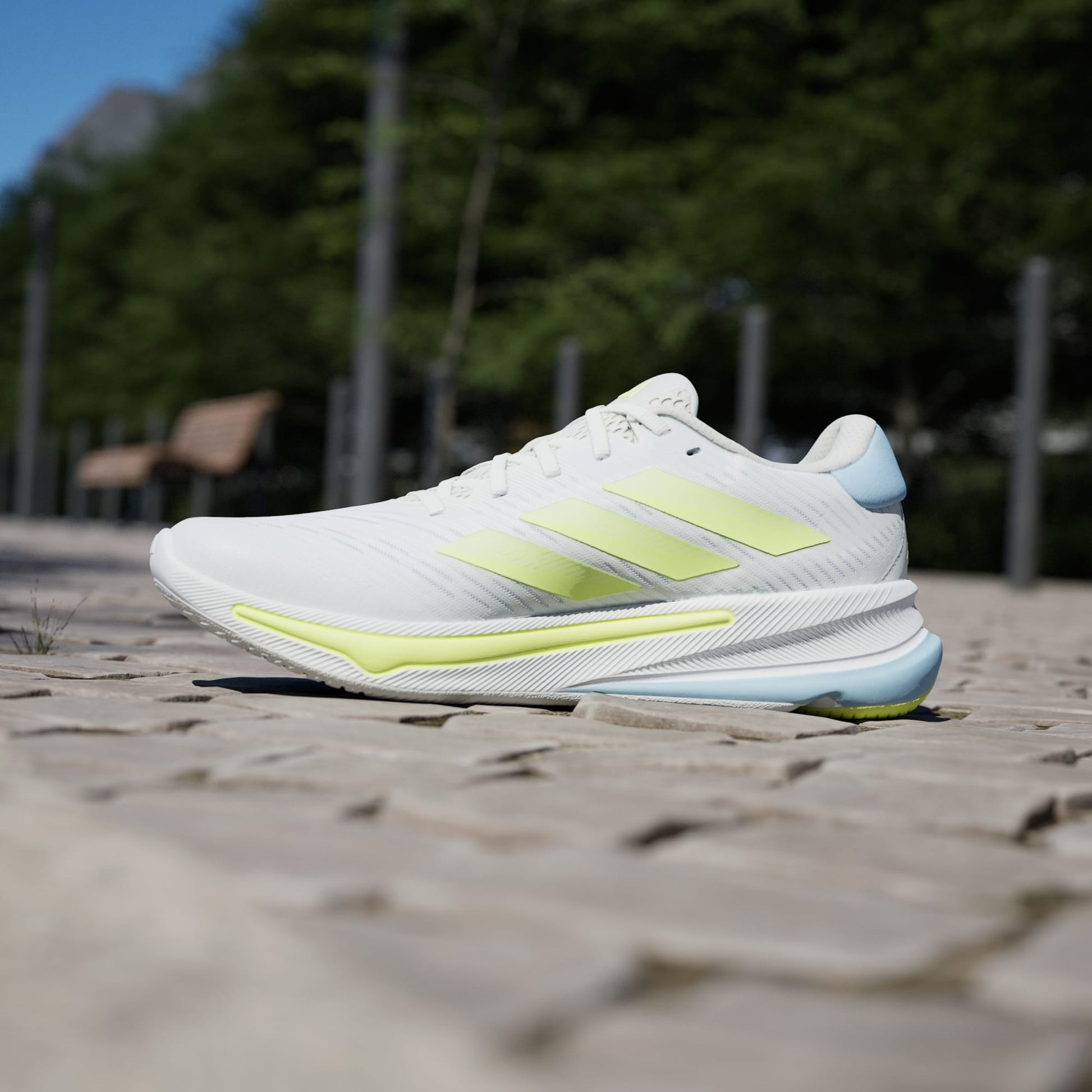 Supernova Ease Sneakers - Premium Brand Shoes for Men and Women