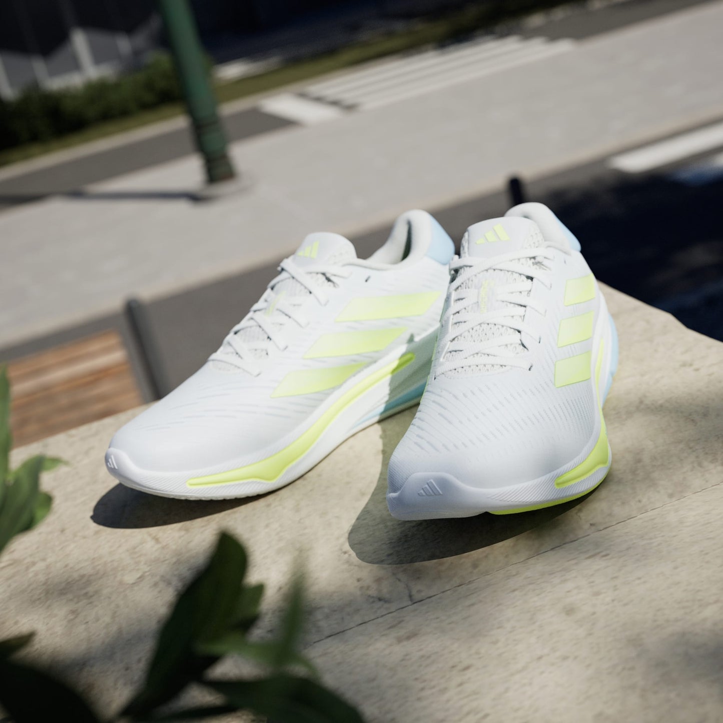 Supernova Ease Sneakers - Premium Brand Shoes for Men and Women