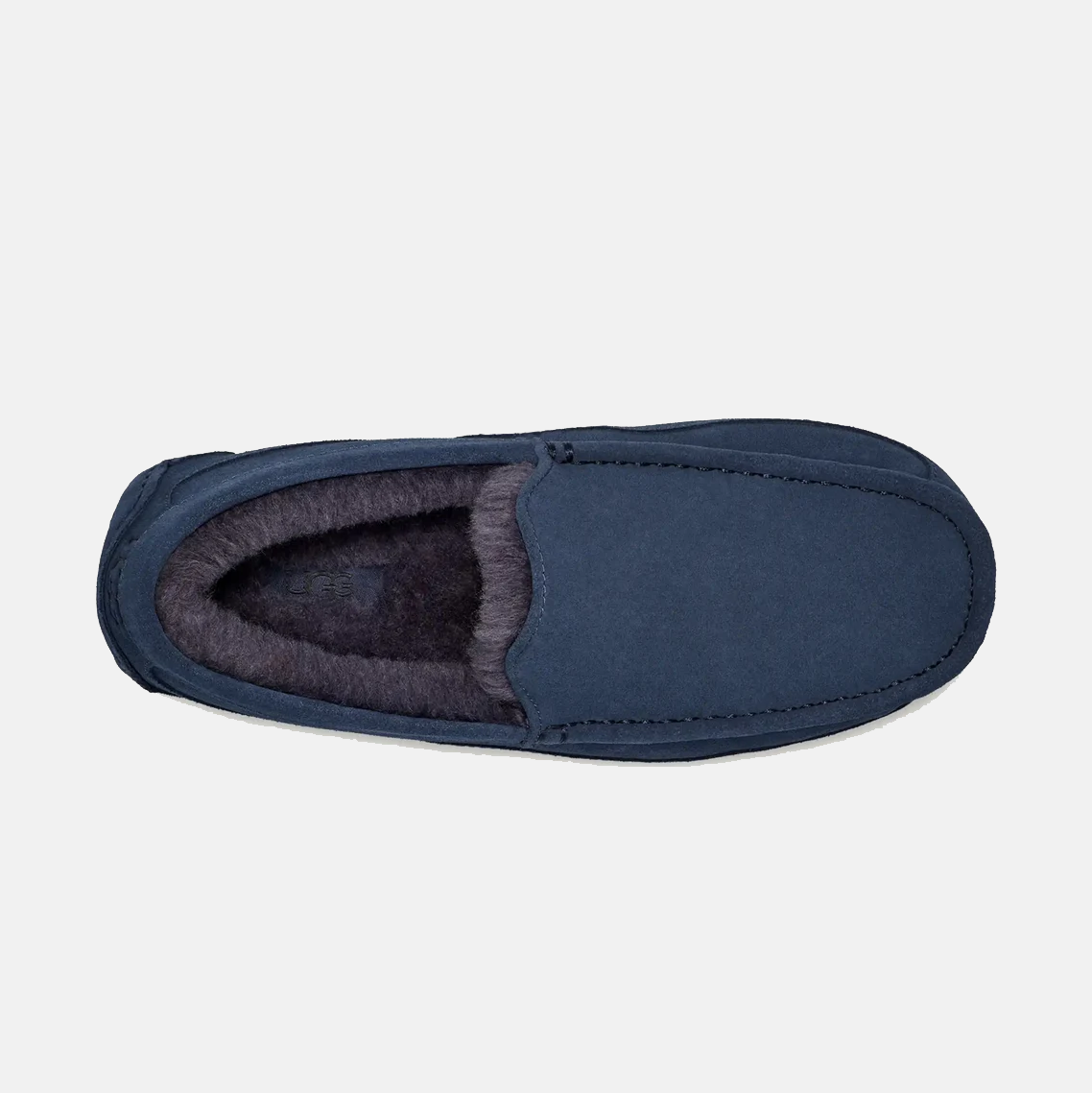 Ascot Suede Sneakers - Premium Brand Shoes for Men and Women