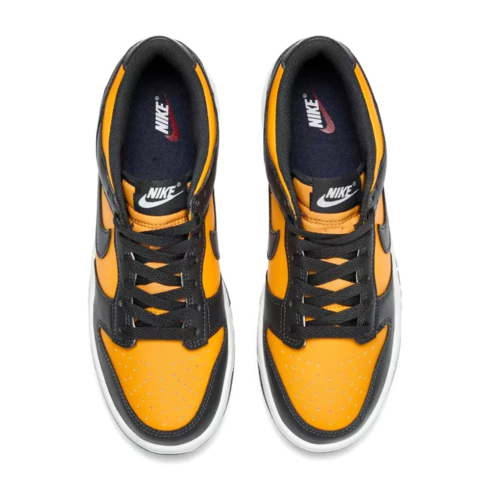 Big Kid's Nike Dunk Low Sundial/Anthracite-Sail (FB9109 701)